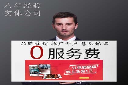 网络推广与竞价策略实战案例